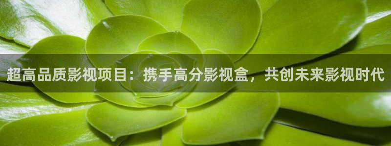 桔子酒制作視頻：超高品質影視項目：攜手高分影視盒，共創未來影視時代