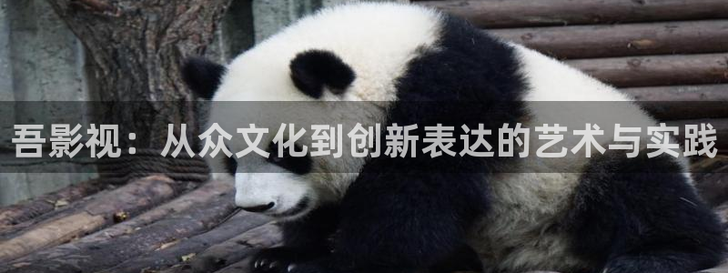 桔子影院在線：吾影視：從眾文化到創新表達的藝術與實踐
